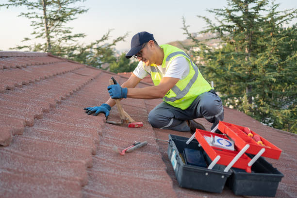 Best Roof Gutter Cleaning  in Brushy, OK